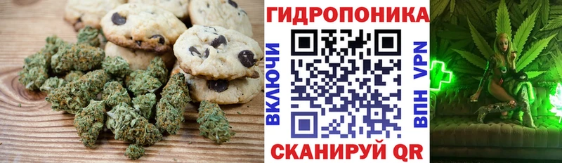 Canna-Cookies марихуана  Купить где  Бокситогорск 