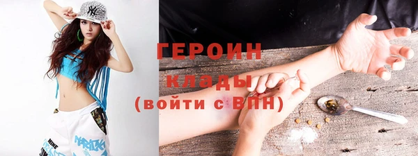 амф Ельня