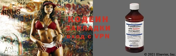 амф Ельня