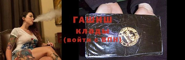амф Ельня