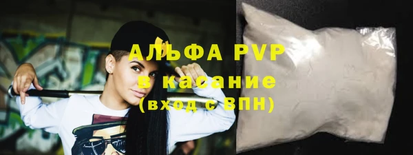 амф Ельня