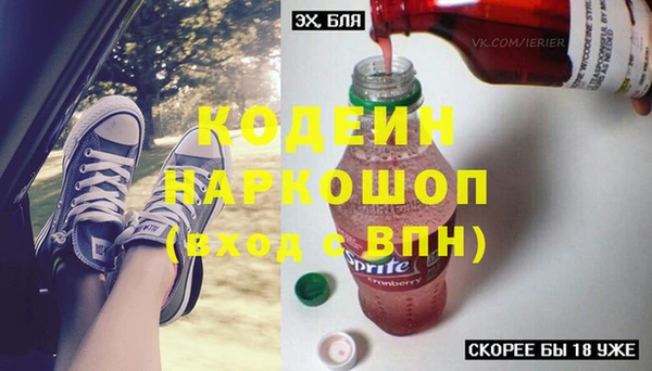 амф Ельня