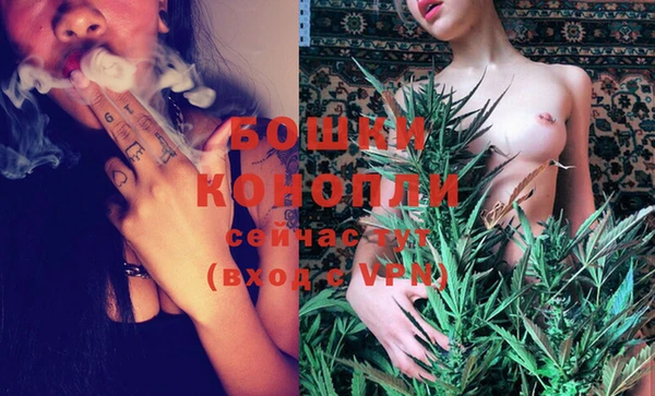 амф Ельня