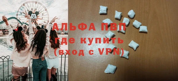 амф Ельня