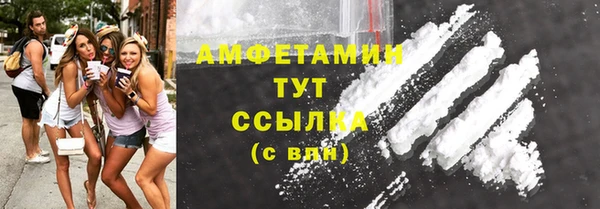 амф Ельня