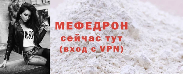 амф Ельня