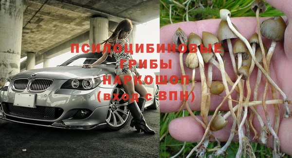 винт Елизово