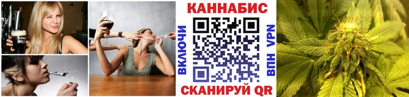 Каннабис сатива  Купить закладки  Бокситогорск 